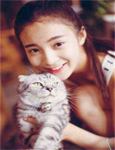 《天使行动（1987）》
